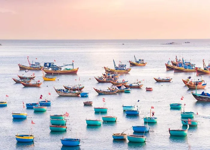 Sân Vườn Misa *